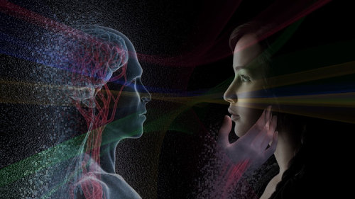 Affective Neuroscience