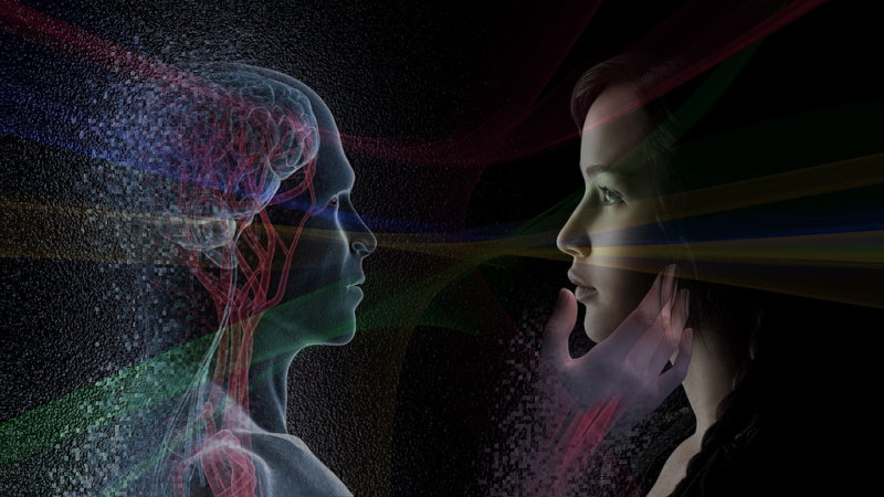 Affective Neuroscience