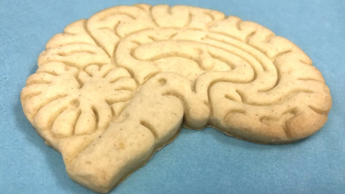 Brain damage