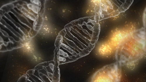 Early Stress/Adversity, Epigenetics & Gene Expression