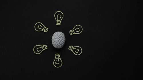 History of Neuroscience