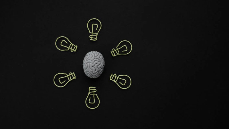History of Neuroscience