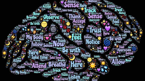 Neuroplasticity