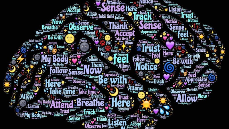 Neuroplasticity