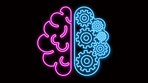 More Basic Neuroscience