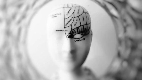 Psychosis and the Brain
